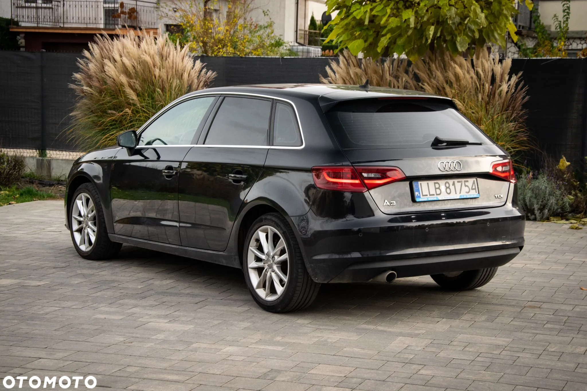 Audi A3 1.6 TDI Sportback DPF Ambiente - 5
