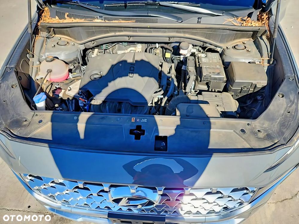 Hyundai Santa Fe - 12