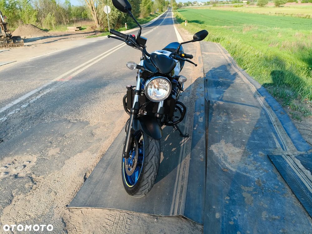 Suzuki SV - 8