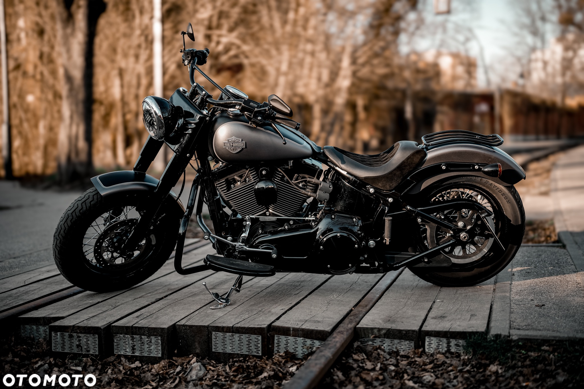 Harley-Davidson Softail Slim - 3