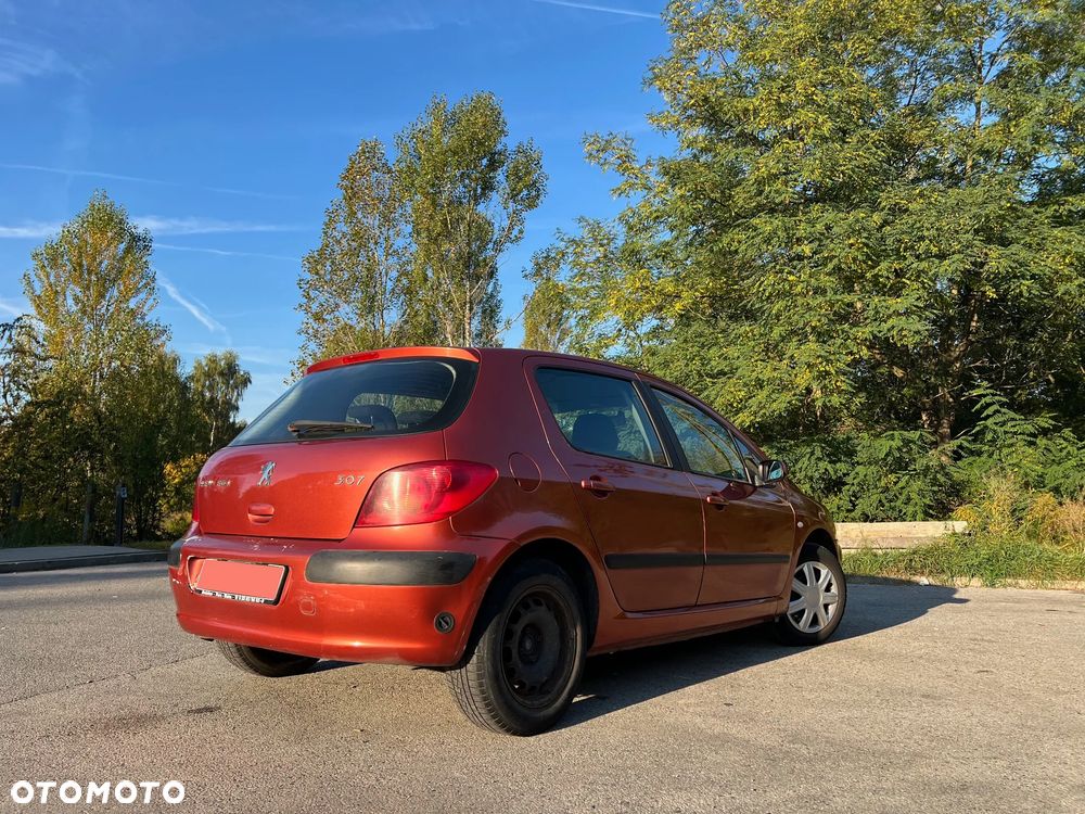 Peugeot 307 2002 photo 5