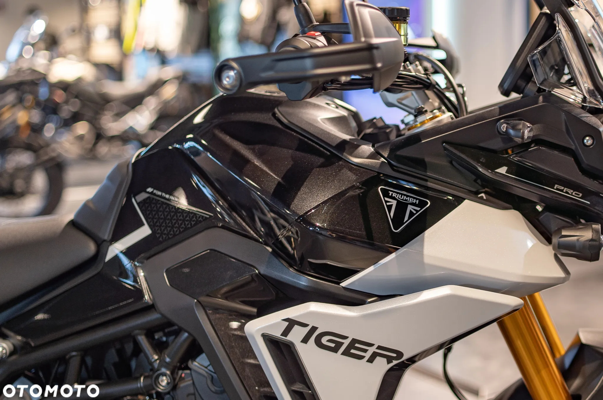 Triumph Tiger - 22
