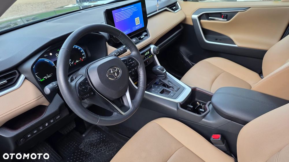 Toyota RAV4 2.5 Hybrid Executive 4x2 - 19