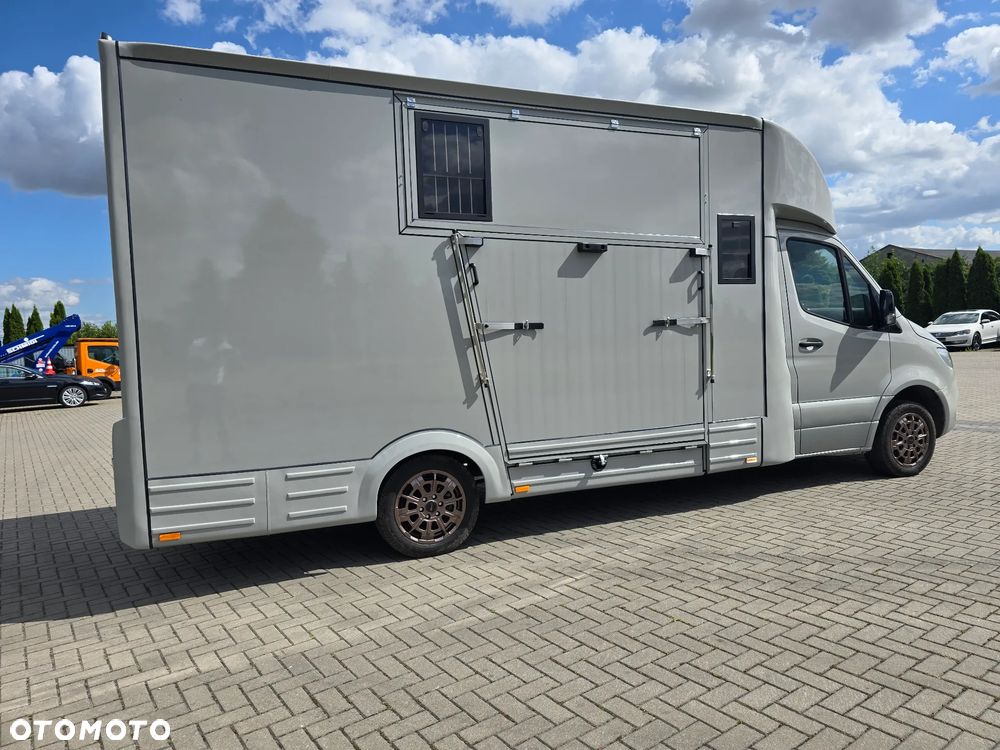 Mercedes-Benz Koniowóz-Sprinter - 13