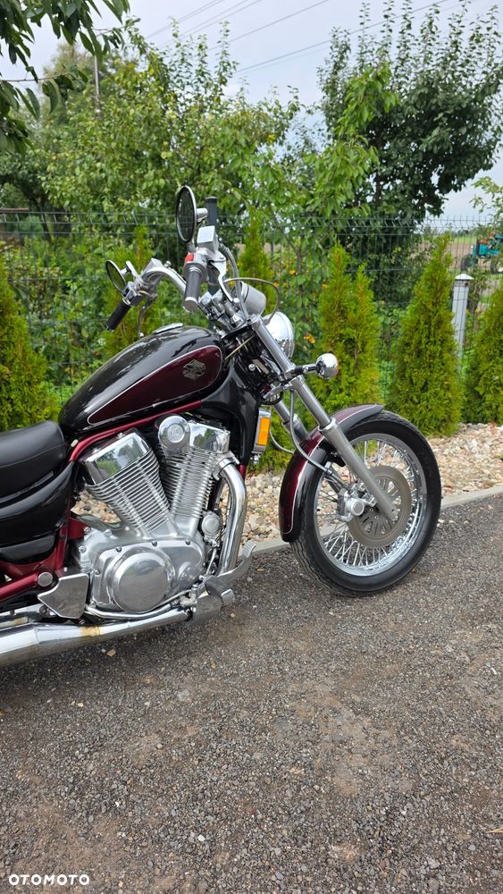 Suzuki Intruder - 10
