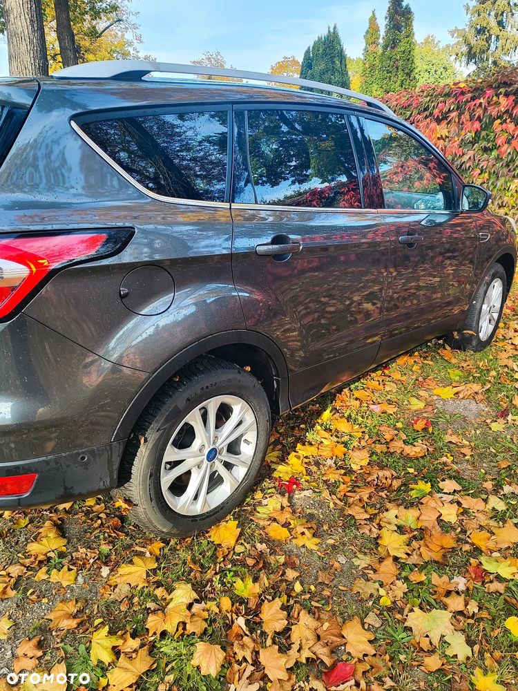 Ford Kuga 2019 photo 4