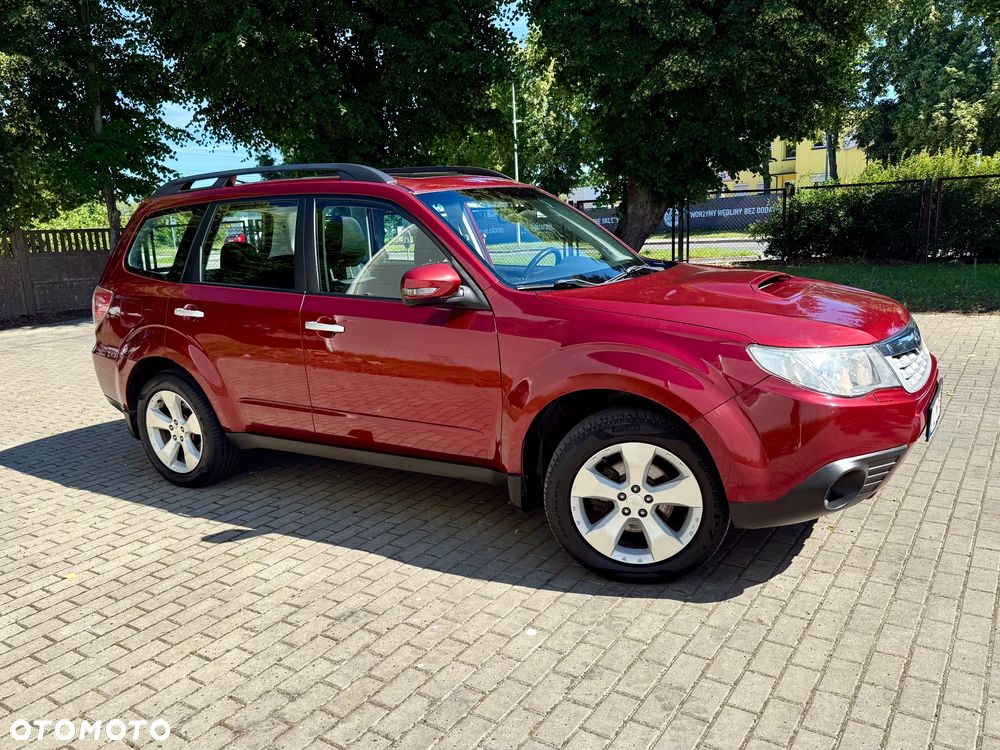 Subaru Forester - 7
