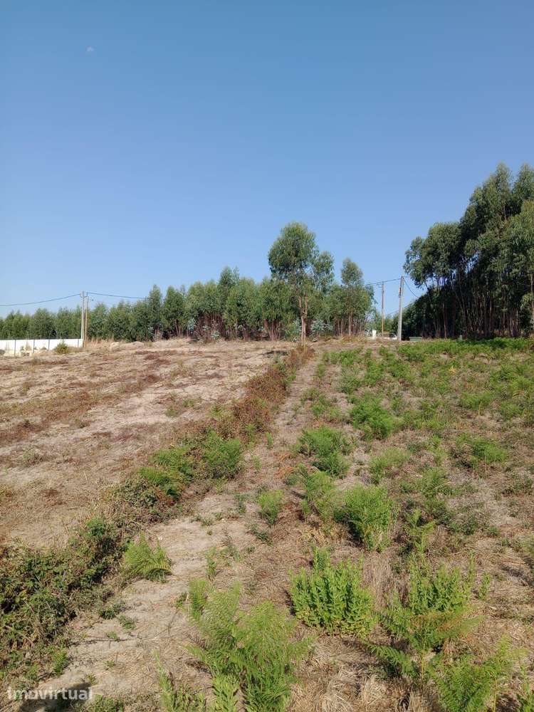 Terreno com projecto aprovado, no Cidral, em Rio Maior - Grande imagem: 2/10
