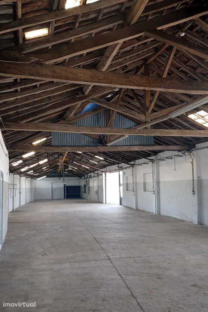 INSTALAÇÕES INDUSTRIAIS 698 m² – TRIFÁSICO – VÁRIAS PORTÕES – AZINHAGA - Grande imagem: 3/4