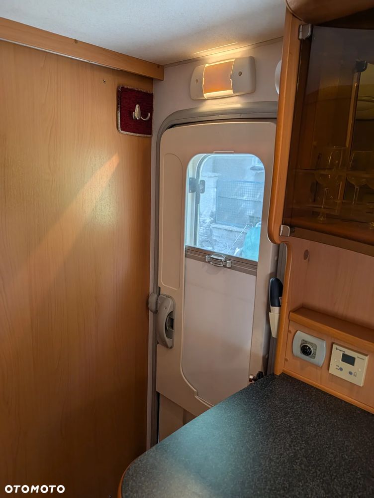Avondale Golden Avocet - 26