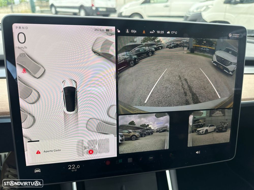 Tesla Model 3 Performance Dual Motor AWD - 16