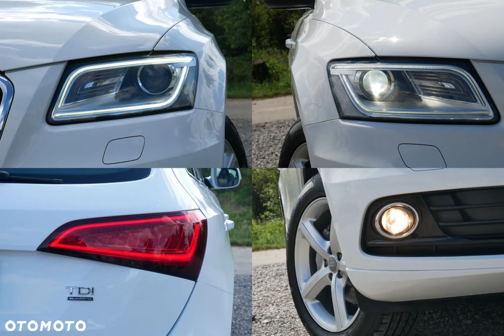 Audi Q5 - 15