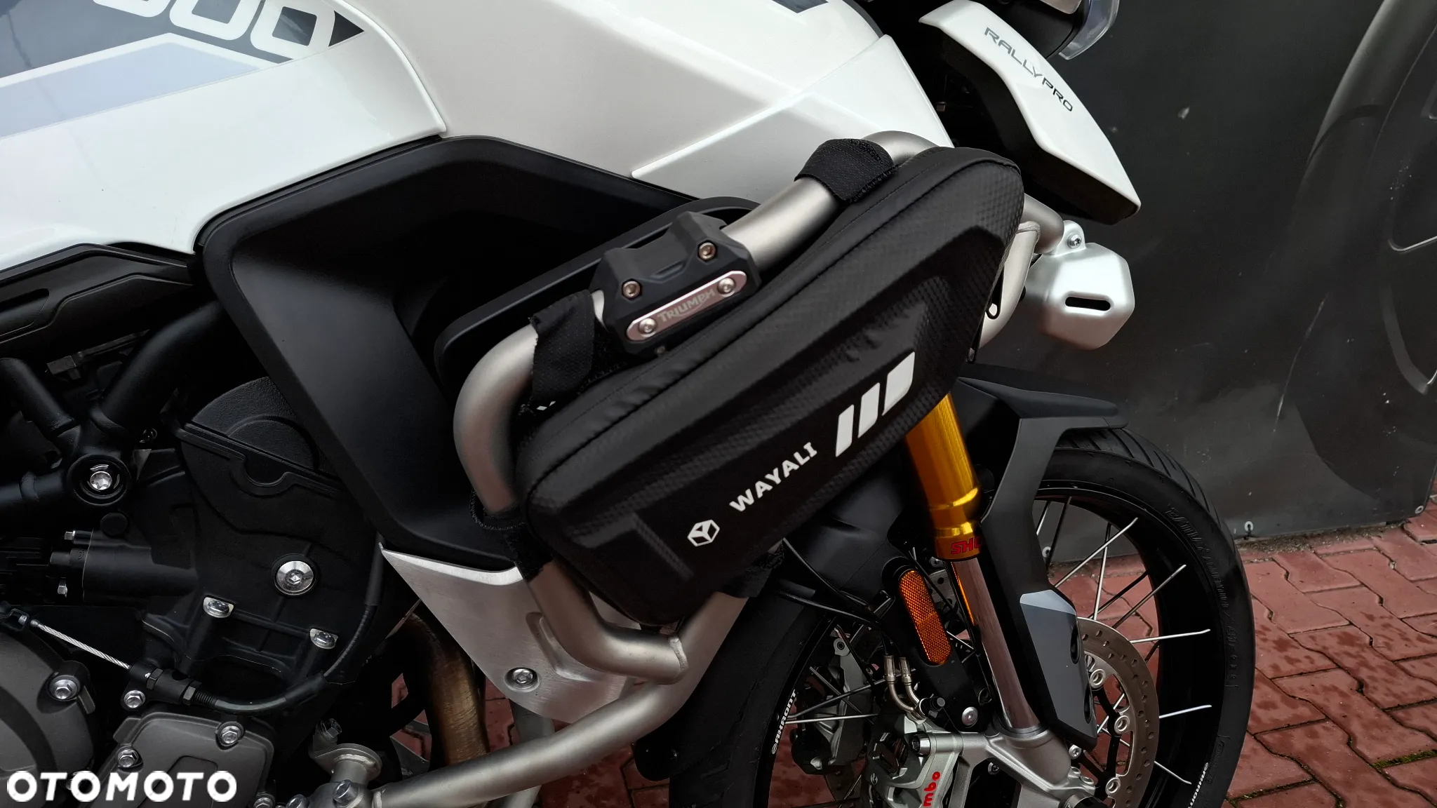Triumph Tiger - 19