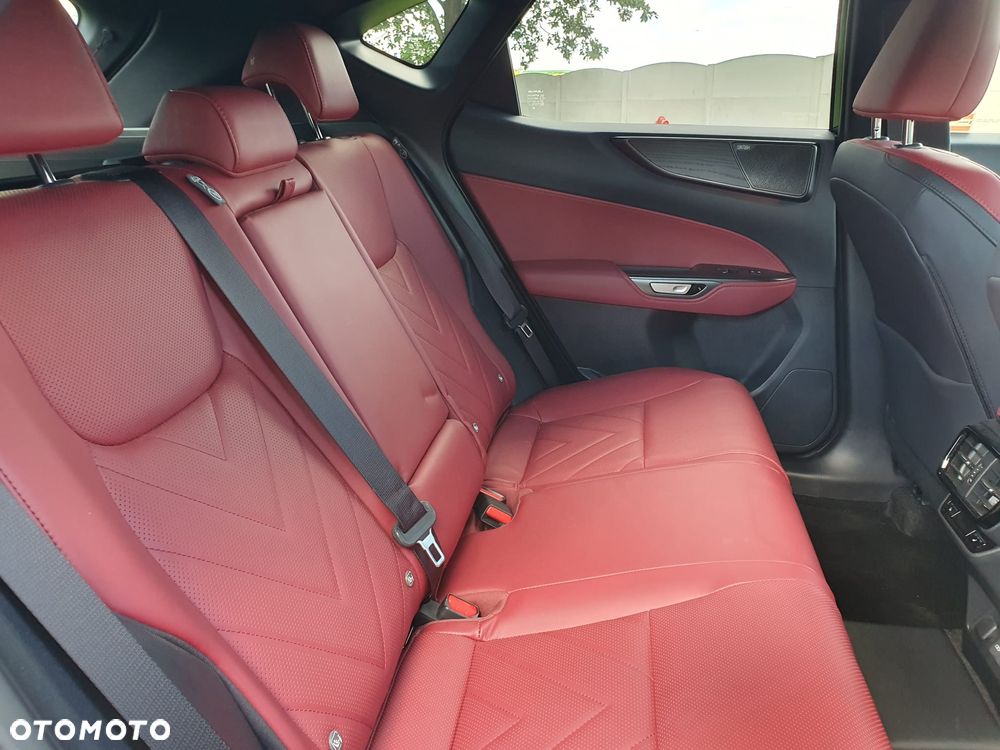 Lexus NX 450h+ Omotenashi AWD - 19