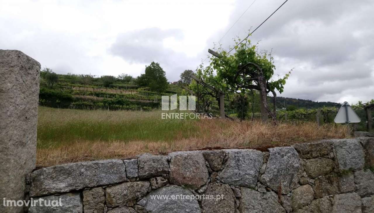 Venda Terreno, Gestaçô, Baião - Grande imagem: 5/6