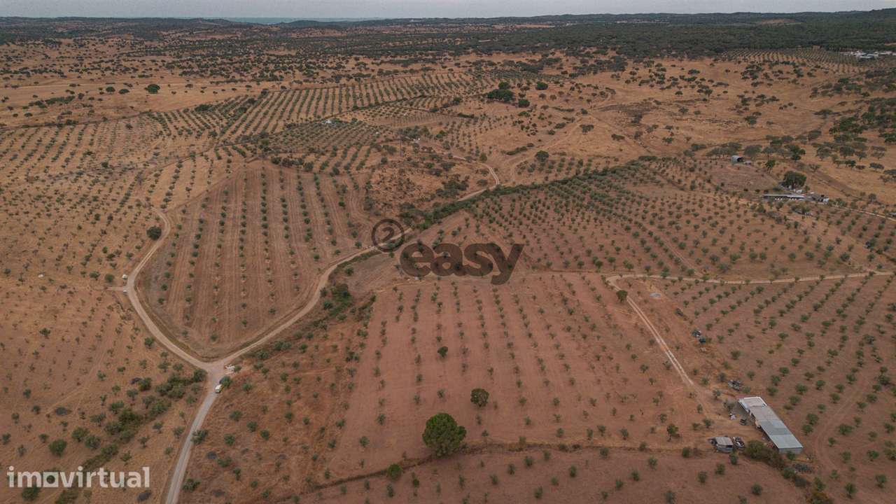 Vende-se Terreno agrícola com 49.750 m² (4,975 ha) em Portel, com oliv - Grande imagem: 2/3