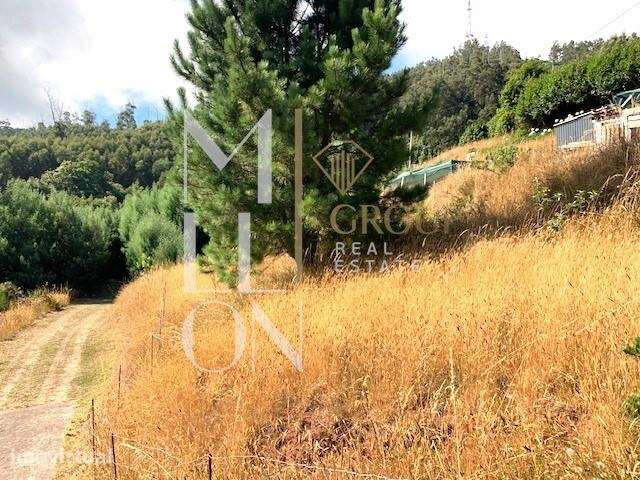 Terreno 1906m2 | com vista | zona sossegada | Santa maria Maior | Func - Grande imagem: 3/8