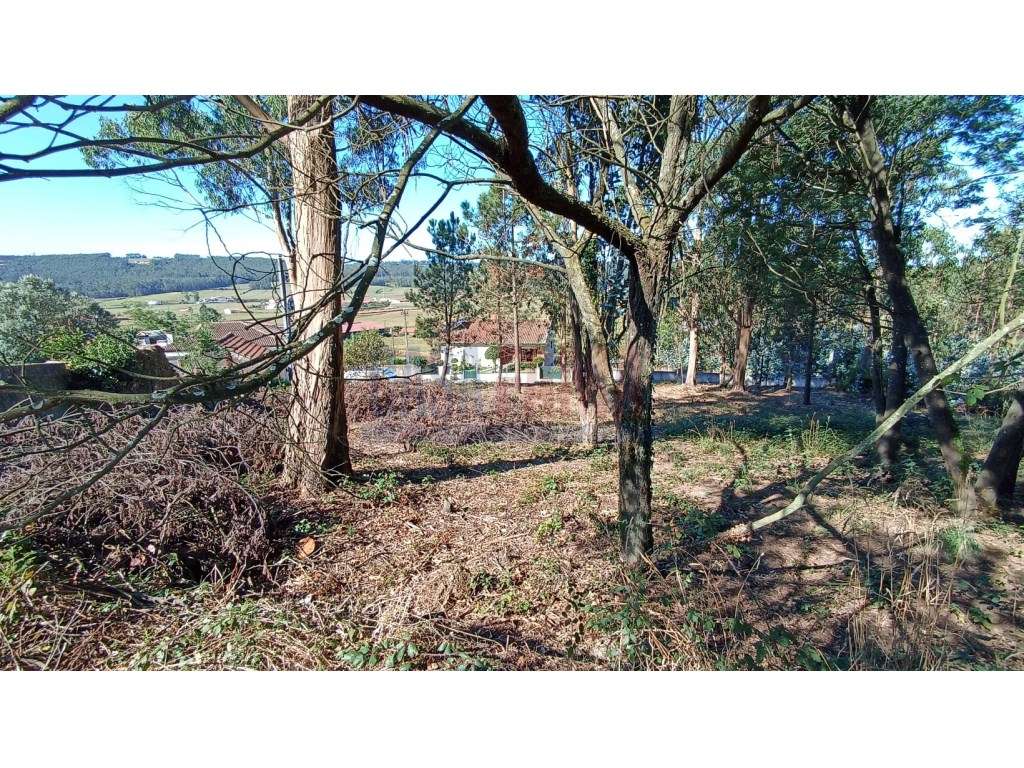 Lote de terreno em rates - Grande imagem: 3/11