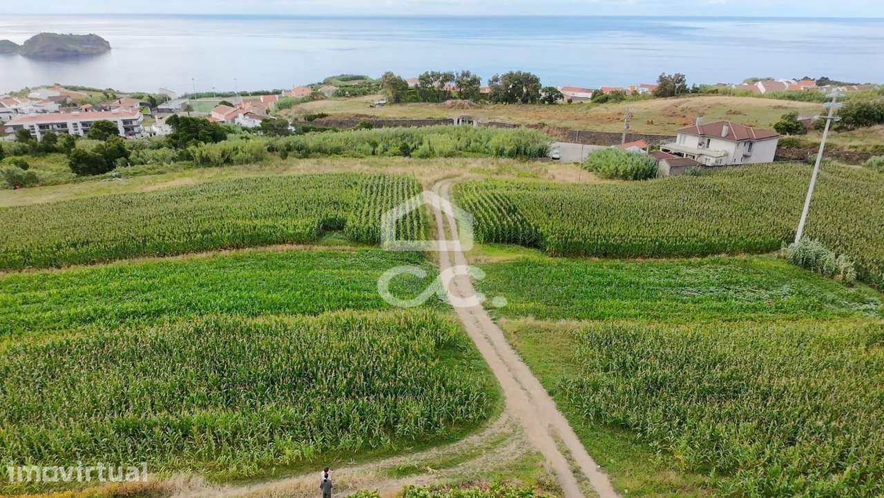 Terreno com 7140,00m2 - Água de Alto  - Vila Franca Do Campo - Grande imagem: 4/10
