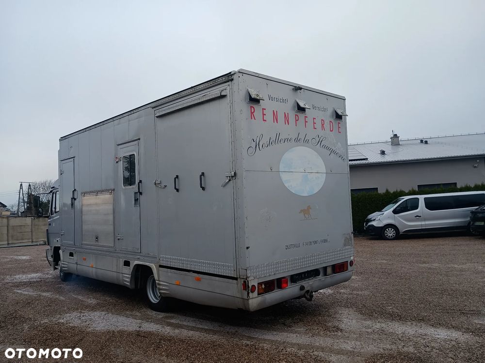Mercedes-Benz 814 Auto do transportu Koni - 3