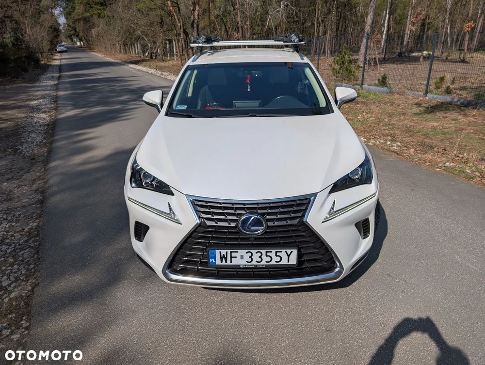 Lexus NX 300h Elegance + Business AWD - 2