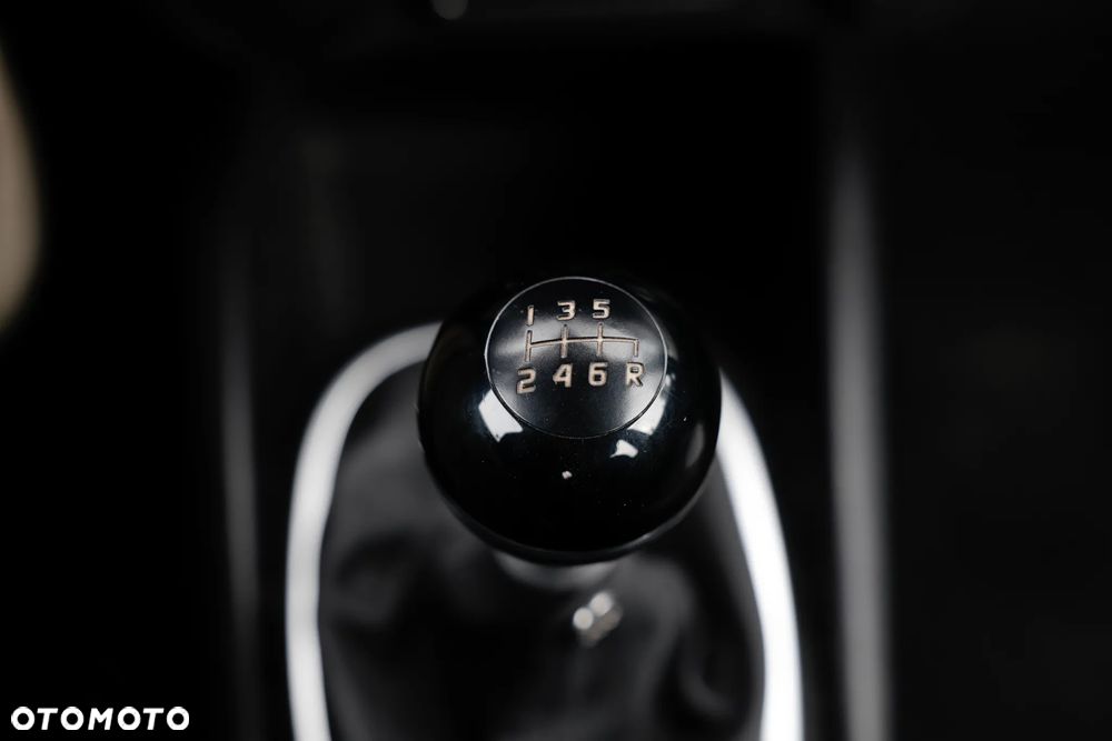 Fiat 500L 1.4 16V 120th - 20