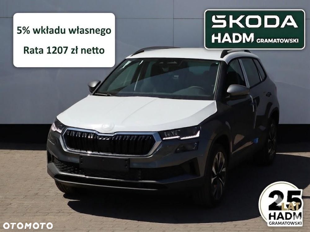 Skoda Karoq - 2