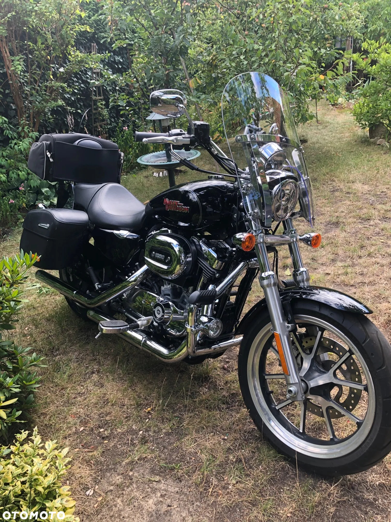 Harley-Davidson Sportster Superlow - 8