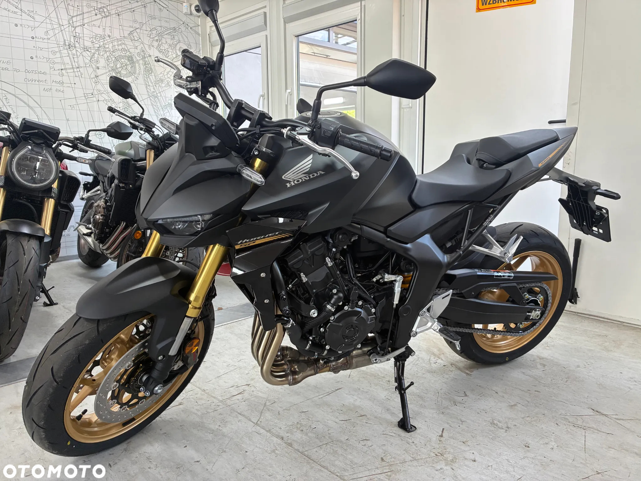 Honda Hornet - 8