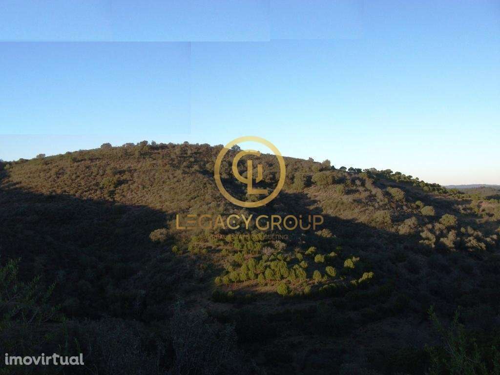 Terreno - Álamo - Alcoutim - Grande imagem: 5/8