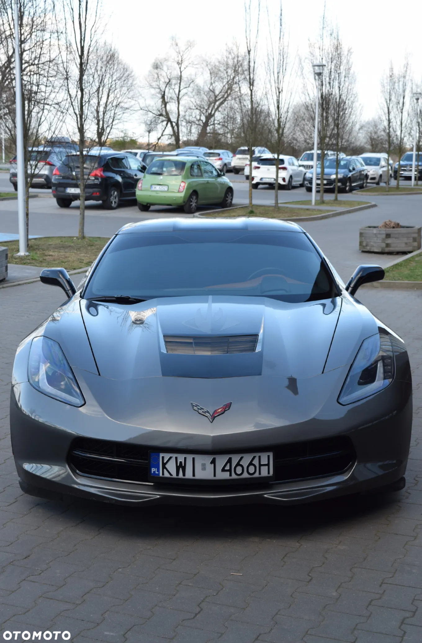 Chevrolet Corvette Stingray 3LT 6.2 V8 Automatik - 11