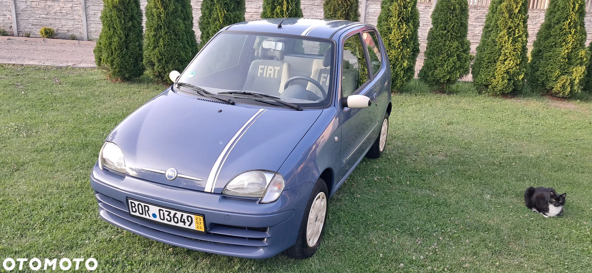Fiat 600 - 3