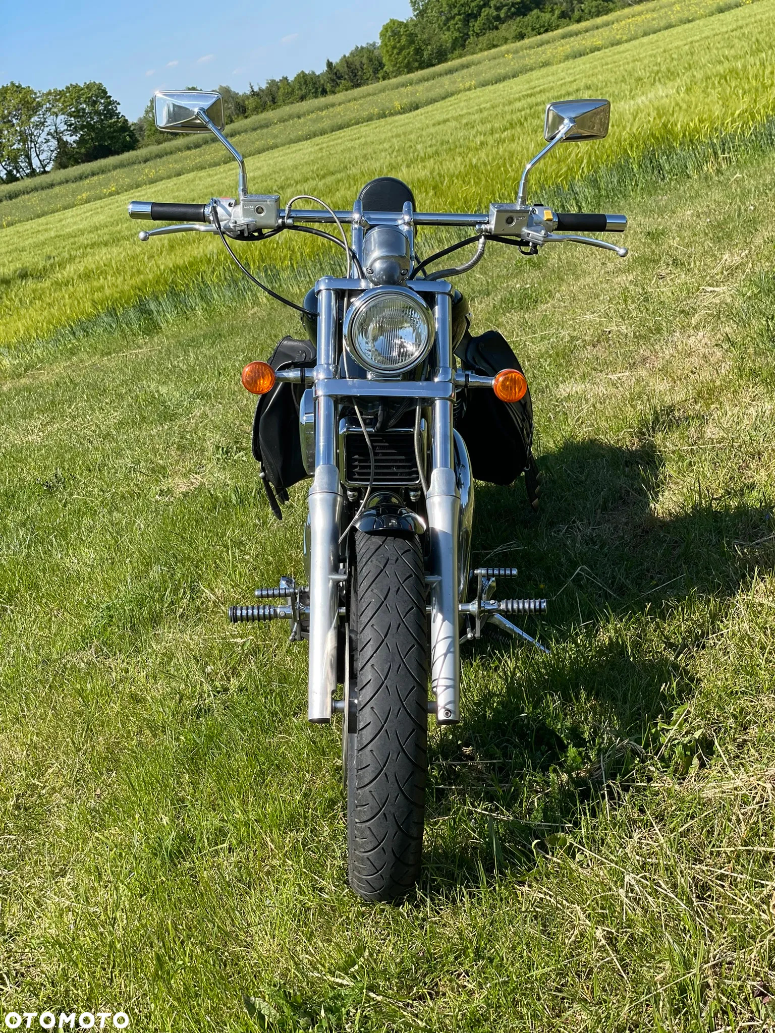 Suzuki Intruder - 3