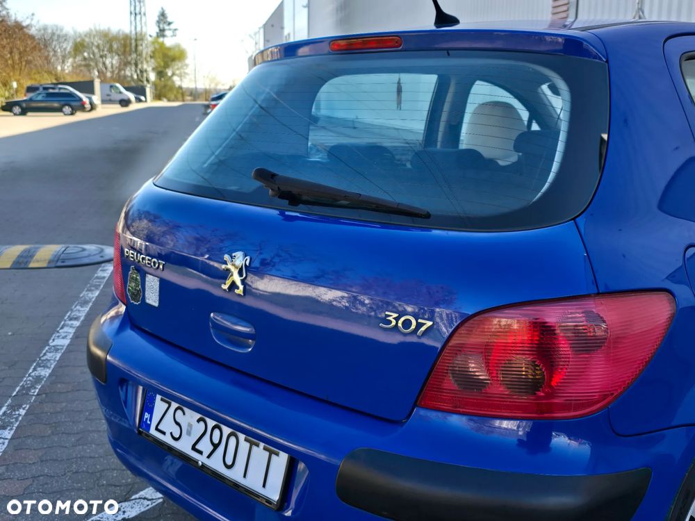 Peugeot 307 - 6