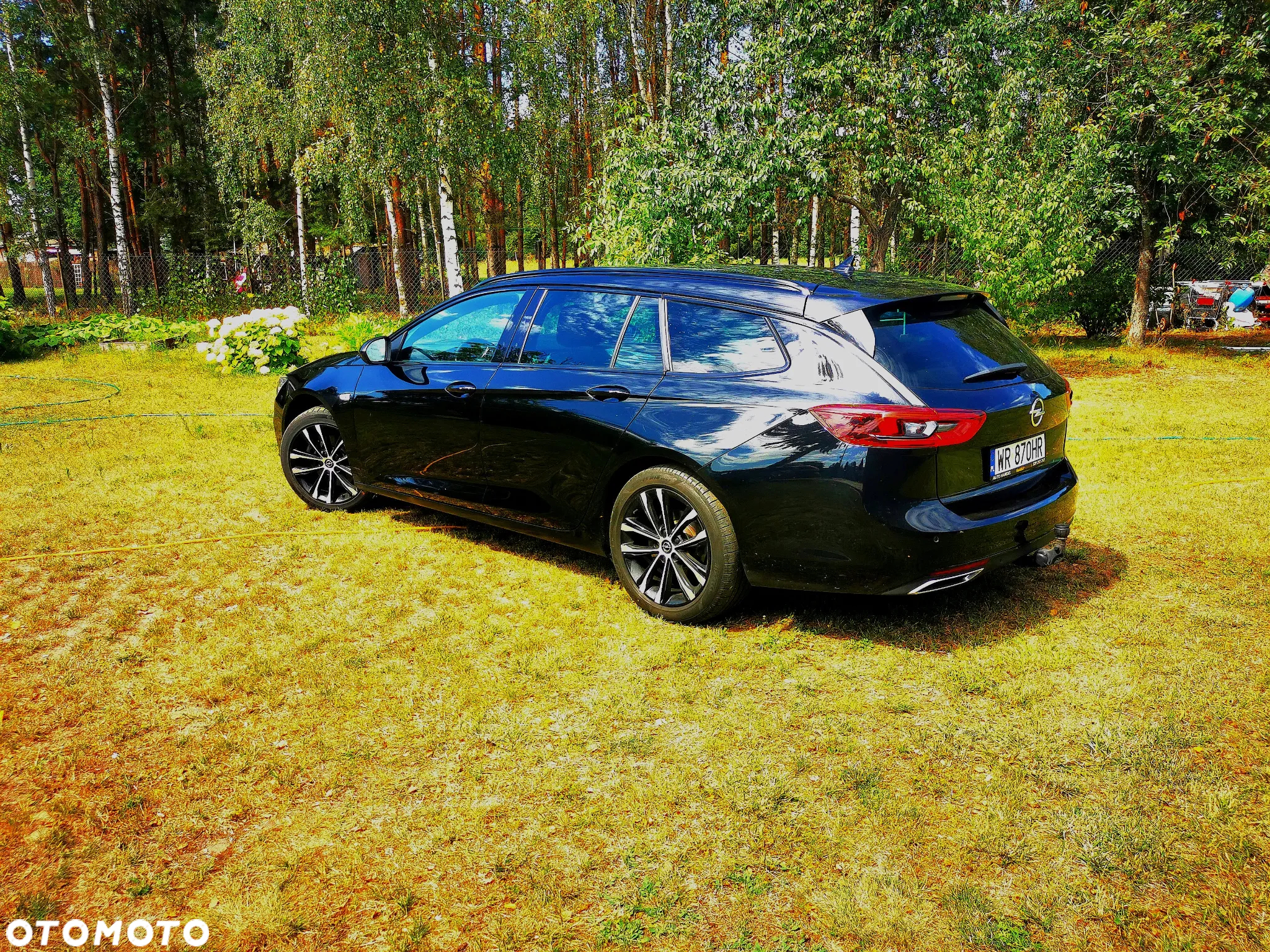 Opel Insignia 2.0 CDTI Business Elegance S&S - 19