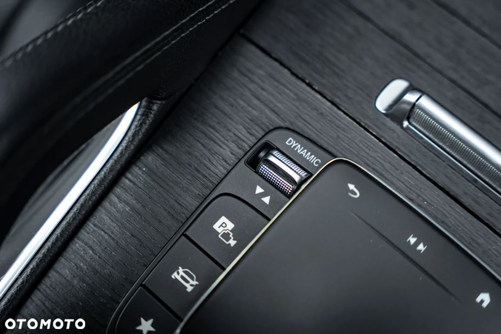 Mercedes-Benz GLE 300 d 4Matic 9G-TRONIC - 30