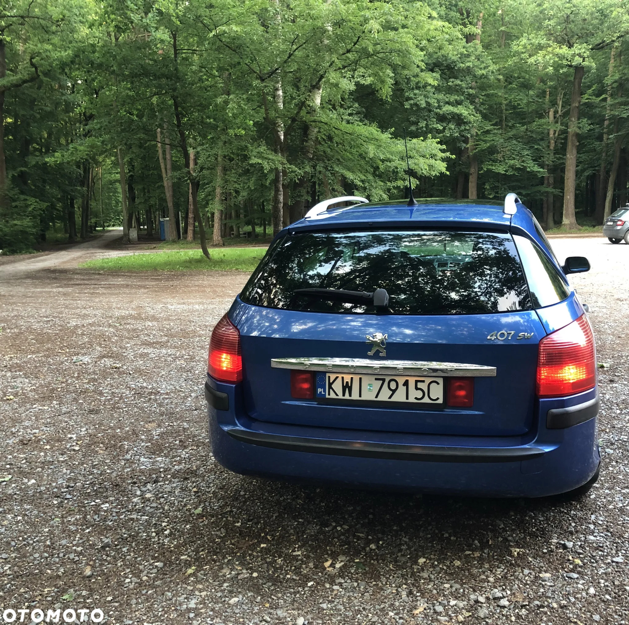 Peugeot 407 - 13