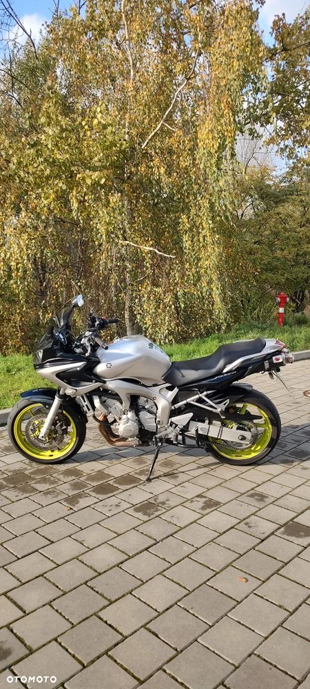 Yamaha FZ6 - 3