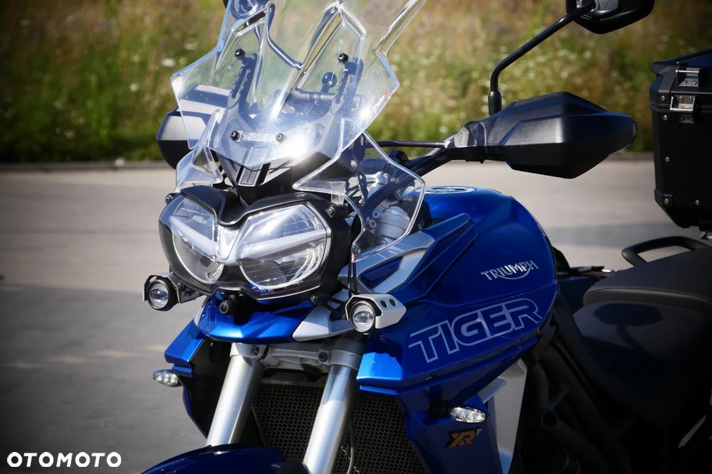 Triumph Tiger - 12