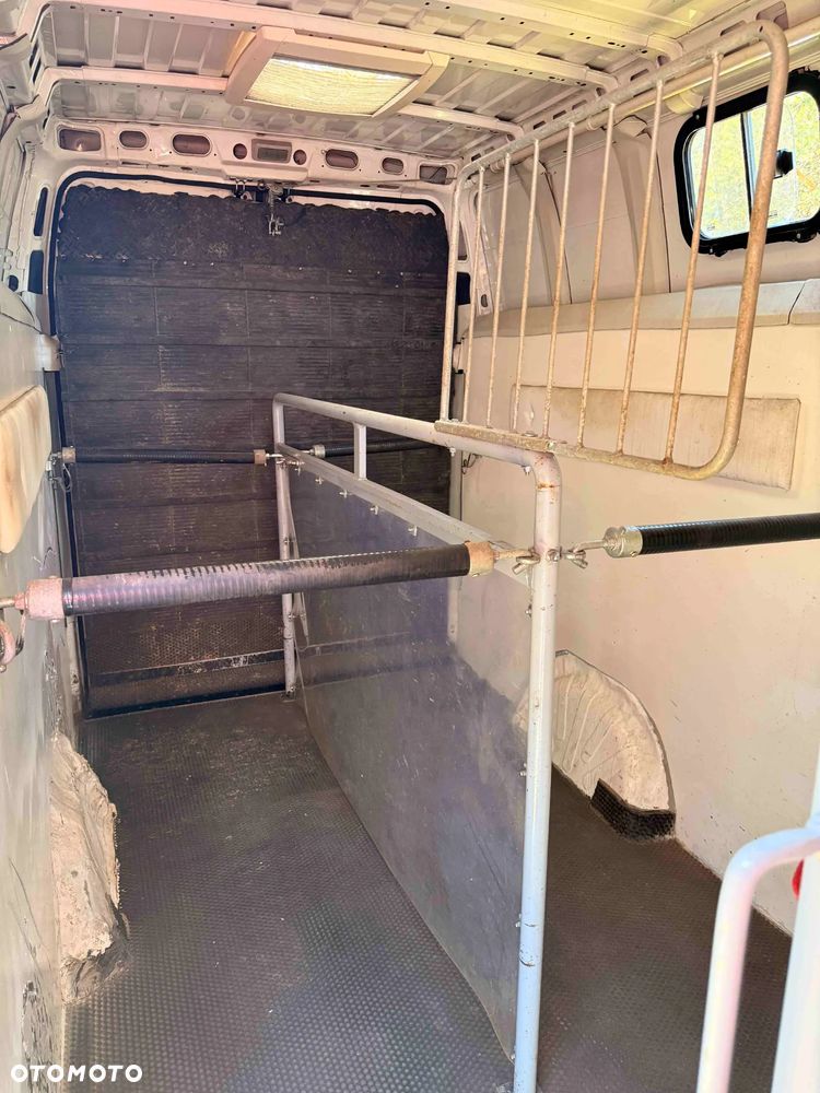 Fiat Ducato Maxi - 10