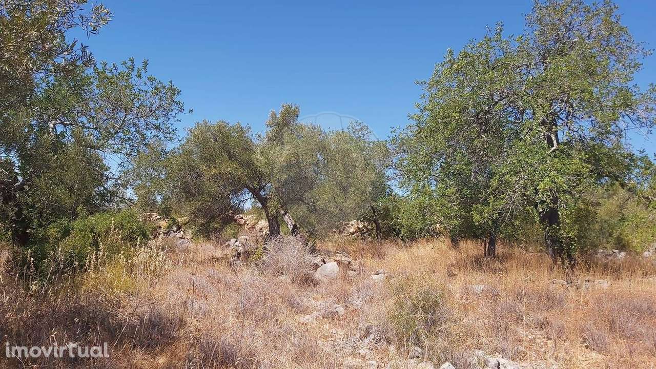 Terreno  para venda - Grande imagem: 5/8