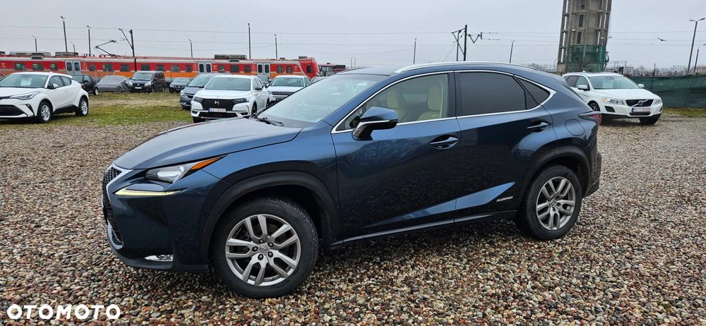 Lexus NX 300h Business Edition - 9