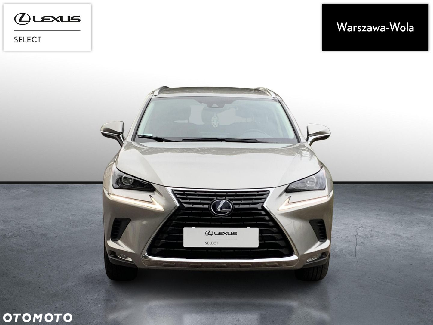 Lexus NX 300h Business Edition AWD - 10