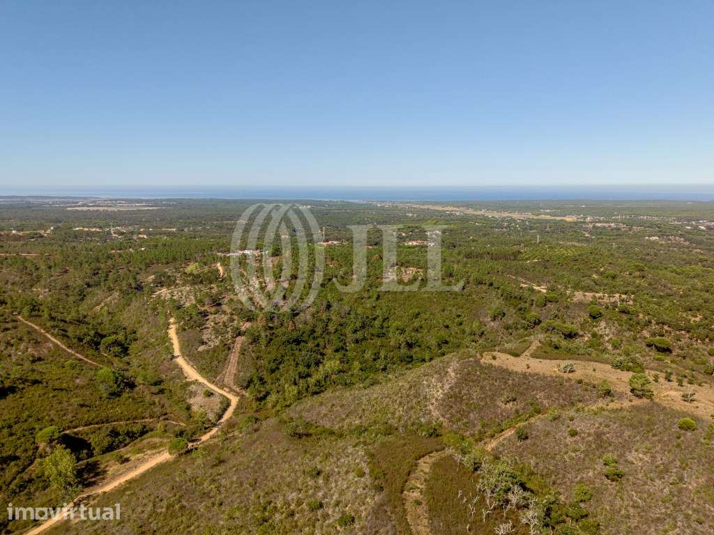 Terreno, nas colinas de Melides, Vale Figueira, Comporta - Grande imagem: 4/20
