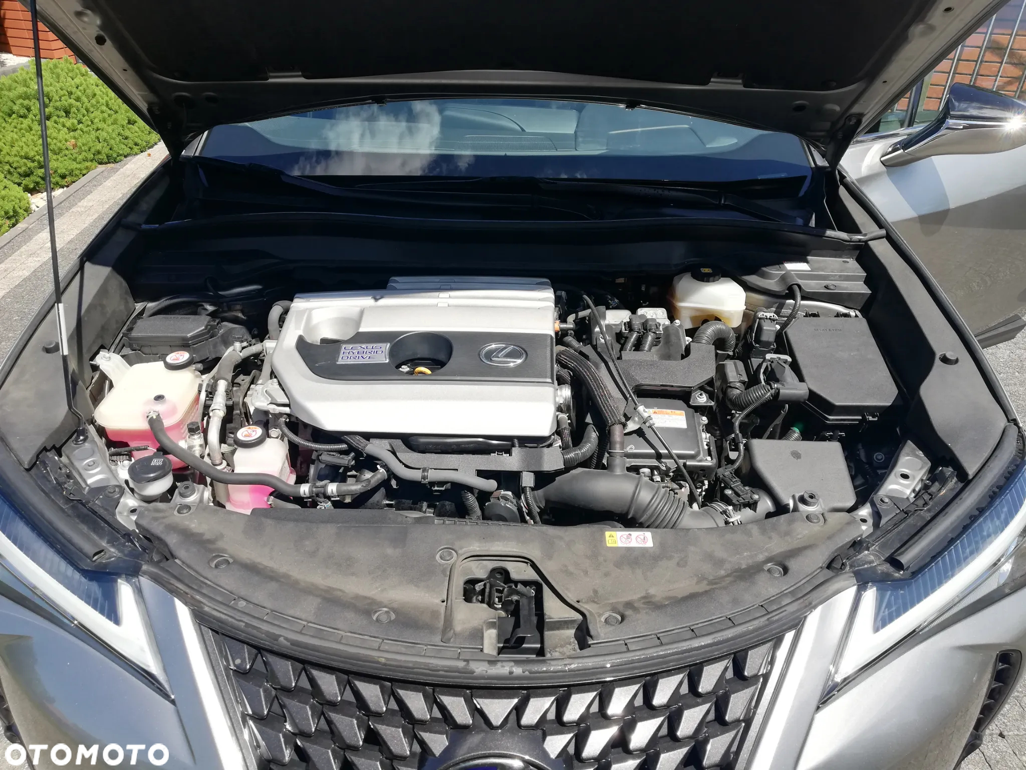 Lexus UX - 19