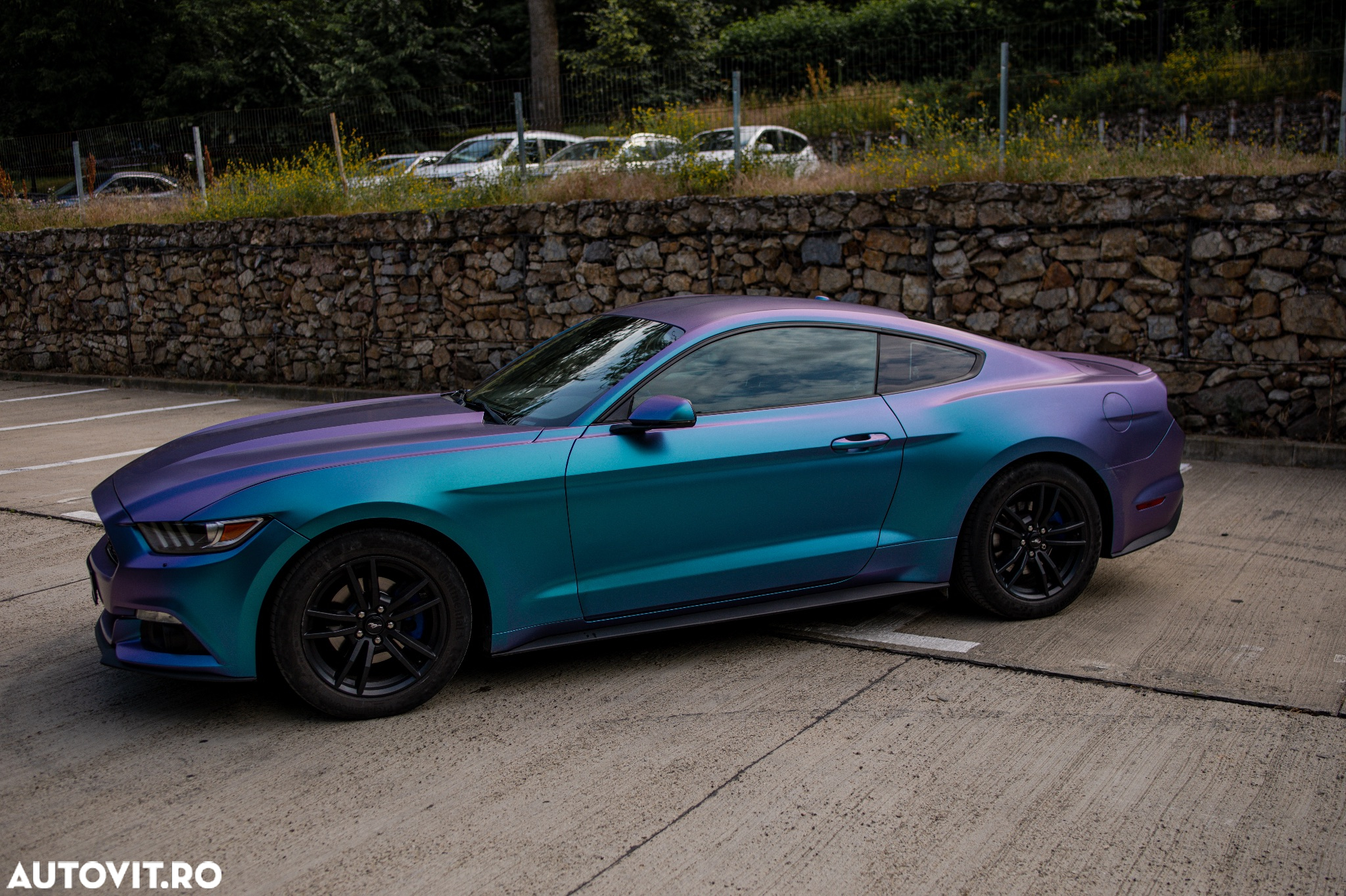 Ford Mustang 2.3 EcoBoost Aut. - 13