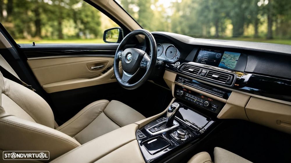 BMW 520 d Line Luxury Auto - 39