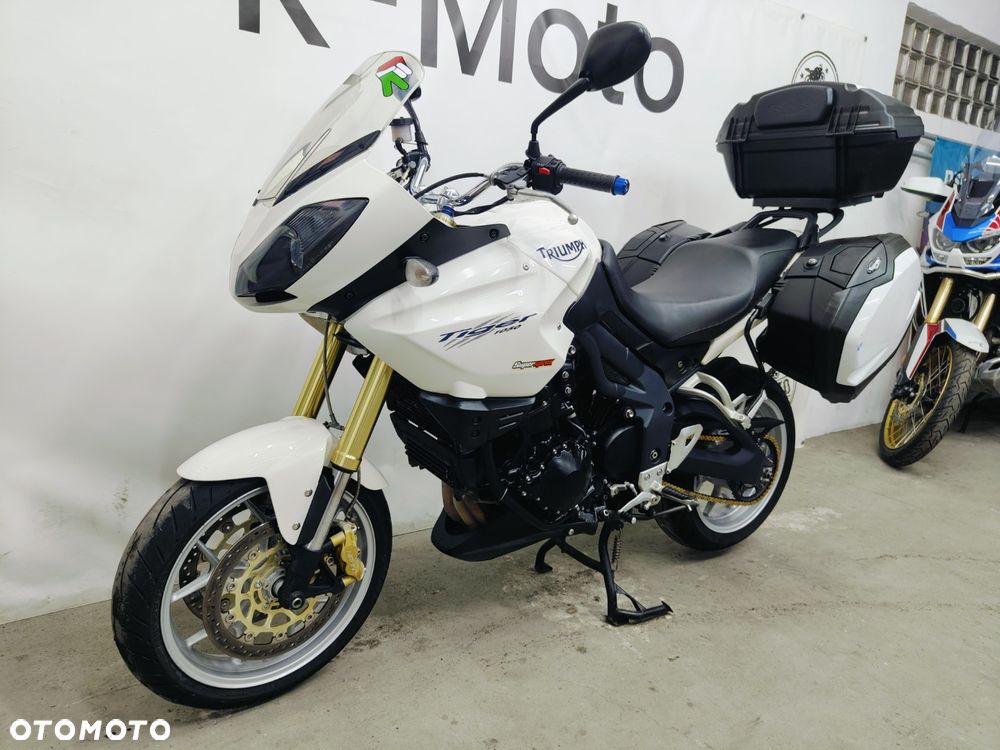 Triumph Tiger - 19
