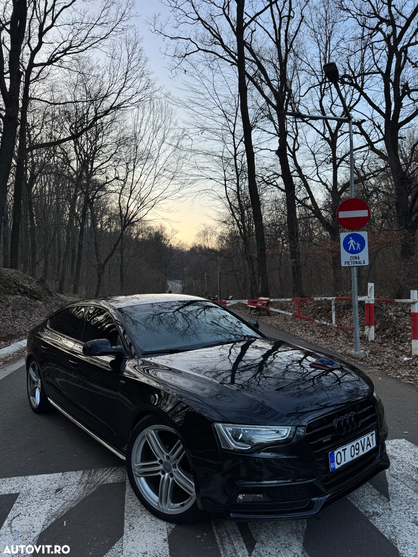 Audi A5 Sportback 3.0 TDI quattro Stronic - 2