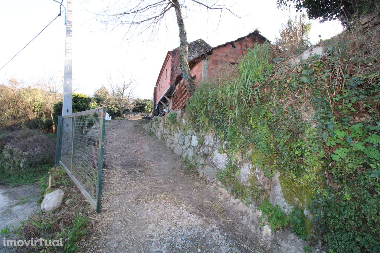 Moradia p/ reconstrução – Oliveira de Frades - Grande imagem: 2/9